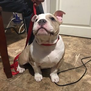 Meet your Posher, Jose alberto